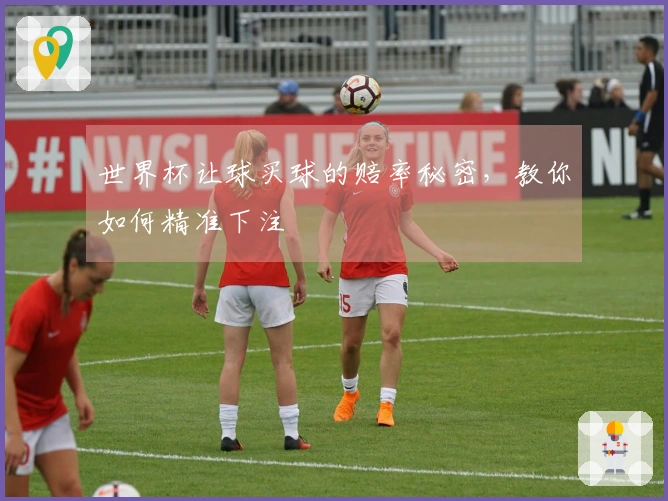 世界杯让球买球的赔率秘密，教你如何精准下注