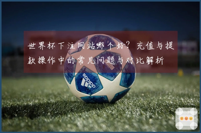 世界杯下注网站哪个好？充值与提款操作中的常见问题与对比解析