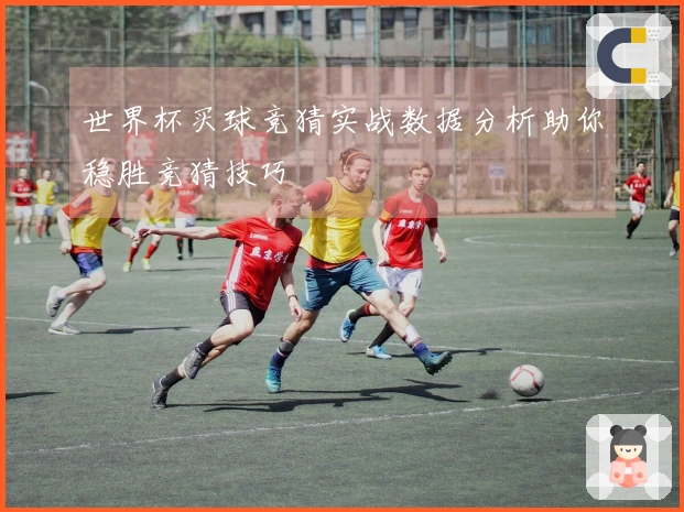世界杯买球竞猜实战数据分析助你稳胜竞猜技巧