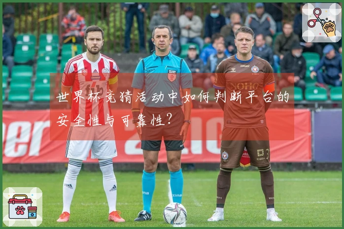 世界杯竞猜活动中如何判断平台的安全性与可靠性？