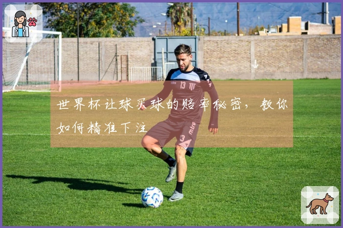 世界杯让球买球的赔率秘密，教你如何精准下注